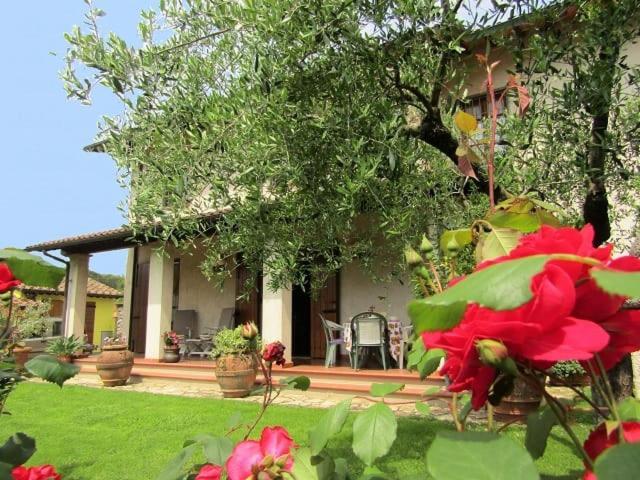 Casa Vacanze Lulu كامايوري المظهر الخارجي الصورة